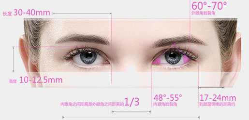美杜莎4D综合媚眼标准 美杜莎4D综合媚眼标准